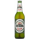 Holba 11 Šerák světlý ležák 4,7% 0,5 l (sklo) – Sleviste.cz