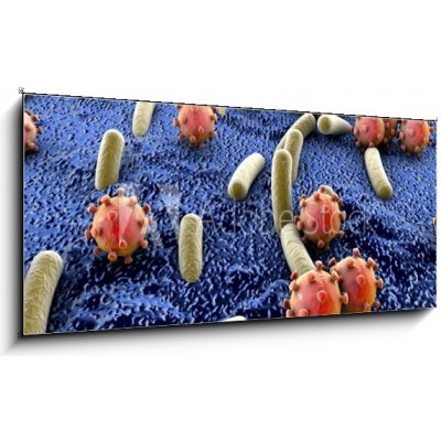 Obraz 1D panorama - 120 x 50 cm - Bacteria and viruses on surface of skin, mucous membrane or intestine, model of MERS, HIV, flu, Escherichia coli, Salmonella, Klebsiell – Hledejceny.cz