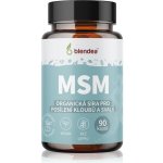 MSM 90 kapslí – Hledejceny.cz