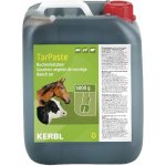 Ketris Holzteer Dehet kopytní bukový 5 kg – HobbyKompas.cz