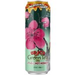 Arizona Spicy Green Tea with Mike's Hot Honey 0,65 l – Zbozi.Blesk.cz