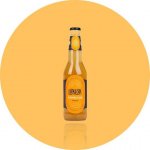 LokLok Kombucha Zázvor 330 ml – Hledejceny.cz