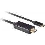 Lanberg CA-CMDP-10CU-0010-BK – Hledejceny.cz