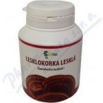 Institut Handan Lesklokorka lesklá 30 g 120 kapslí – Hledejceny.cz
