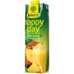 Rauch Happy Day ananas 100% 1l – Zboží Mobilmania