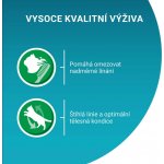 Purina ONE Indoor minifiletky s tuňákem a zelenými fazolkami s telecím a mrkví ve šťávě 4 x 85 g – Zbozi.Blesk.cz