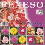 Artline Pexeso: Květiny – Zboží Živě