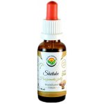 Salvia Paradise Wira Wira AF tinktura 30 ml – Zboží Mobilmania