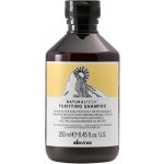 Davines NATURALTECH Purifying čistící šampon na mastné nebo suché lupy 250 ml – Zboží Dáma