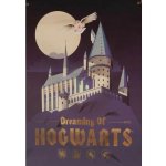 Harry Potter: Dreaming of Hogwarts - Vlajka na zeď – Hledejceny.cz