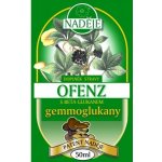 Naděje Ofenz + betaglukan 50 ml – Zbozi.Blesk.cz