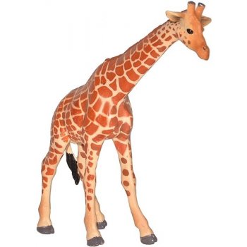 Atlas D Žirafa
