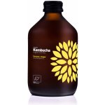 Vigo bio kombucha kurkuma a zázvor 330 ml – Zboží Dáma Vigo bio kombucha kurkuma a zázvor 330 ml – Zboží Dáma