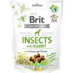 Brit Care Dog Crunchy Cracker Insects with Rabbit enriched with Fennel 200 g – Sleviste.cz