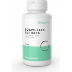 Epigemic Boswellia Serrata Epigemic 90 kapslí – Hledejceny.cz