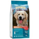 Divinus Adult Dospělý 20 kg – Hledejceny.cz