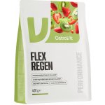 Flex regen 400 g Jahoda kiwi – Hledejceny.cz