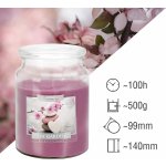 BISPOL-AURA SPA Garden 500 g – Sleviste.cz