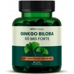MOVit Ginkgo Biloba 60 mg Forte, 90 tobolek – Hledejceny.cz