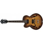 Ibanez AF55L – Hledejceny.cz