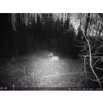 OXE Panther 4G – Zboží Živě