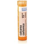 CALCAREA CARBONICA POR 15CH GRA 1X4G – Hledejceny.cz