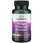 Swanson Mega Tribulus Extract 250 60 kapslí – Hledejceny.cz