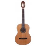 Prodipe Guitars Primera 4/4 – Zbozi.Blesk.cz