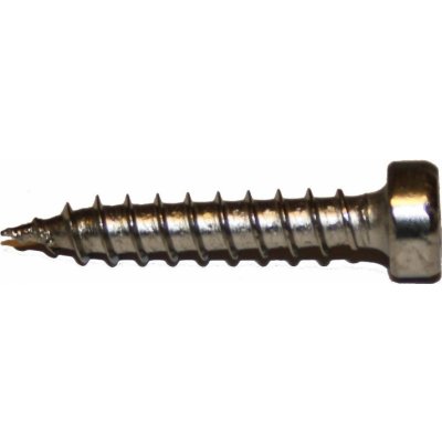 Vruty pro kluzáky 4,2x24mm TX20 nerez A4 – Hledejceny.cz