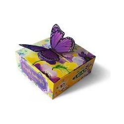 Liran PURPLE BUTTERFLY 5 x 2 g