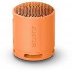 Sony SRS-XB100 – Zbozi.Blesk.cz