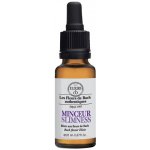 Le Fleurs de Bach Bachovy bio esence Štíhlá linie 20 ml – Hledejceny.cz