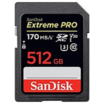 SanDisk SDXC UHS-I U3 512 GB SDSDXXY-512G-GN4IN