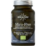 Hifas da Terra Mico-Five Immune System 70 kapslí – Hledejceny.cz