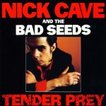 Cave Nick & Bad Seeds - Tender Prey LP – Hledejceny.cz