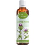 Serafin Ostropestřec tinktura z byliny 50 ml – Hledejceny.cz