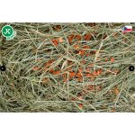 JK ANIMALS Přírodní seno Mrkev 0,5 kg – Hledejceny.cz