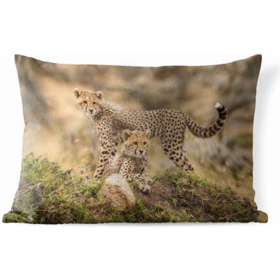 MuchoWow Vnější polštář Leopard Mládě Příroda 50x30