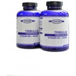 Fitsport Tribulus Terrestris 90% + B6 +Zinek 480 kapslí – Hledejceny.cz