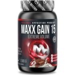 MAXXWIN Maxx Gain 15 50 g – Hledejceny.cz