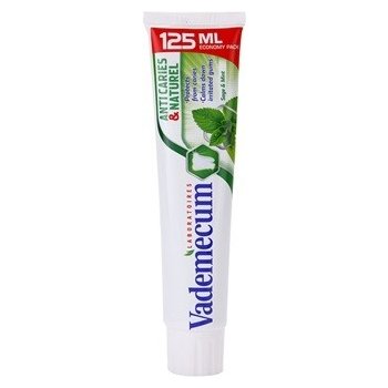 Vademecum Anti Caries & Naturel zubní pasta pro podrážděné dásně příchuť Sage & Mint (Protect from Caries, Calm Down Irritated Gums) 125 ml