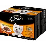 Cesar Feines Favoriten v omáčce 24 x 100 g – Zboží Mobilmania