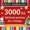 Dárkový poukaz Vánoční e-shopová dárková poukázka 3000 Kč