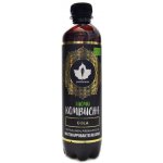 Puhdistamo Kombucha BIO 370 ml ginger lemon Bio Kombucha zázvor-citrón – Hledejceny.cz