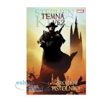 Temná věž 1: Zrození pistolníka - Stephen King, Peter Allen Davi