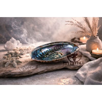 vykuřovací mušle abalone – Hledejceny.cz