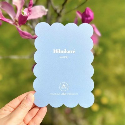 Be Nice EKO Milníkové kartičky pro miminka modré – Hledejceny.cz