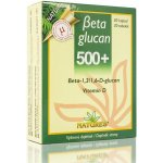 Natures Beta glucan 500+ 30 kapslí – Hledejceny.cz