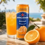 San pellegrino Sanpellegrino Naturali Aranciata 330 ml – Zboží Mobilmania