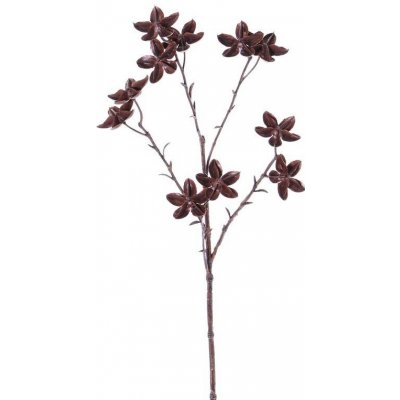 'Sušený' anýz imitace, větvička 11 květů, 63cm – Zboží Mobilmania